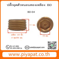BD04 รูปโชว์